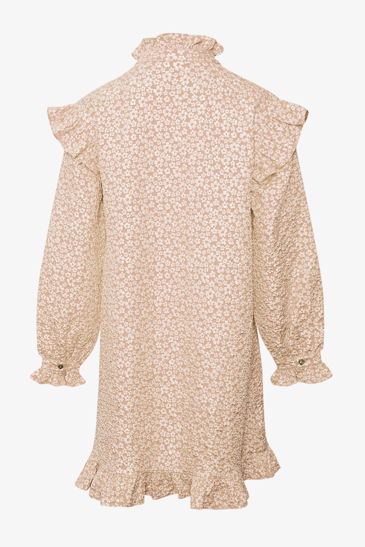 Noellas Reno Ruby Ruffle Dress Oyster.
