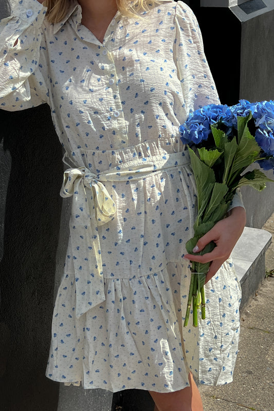 Pixi Shirt Dress Blue Dot Flower