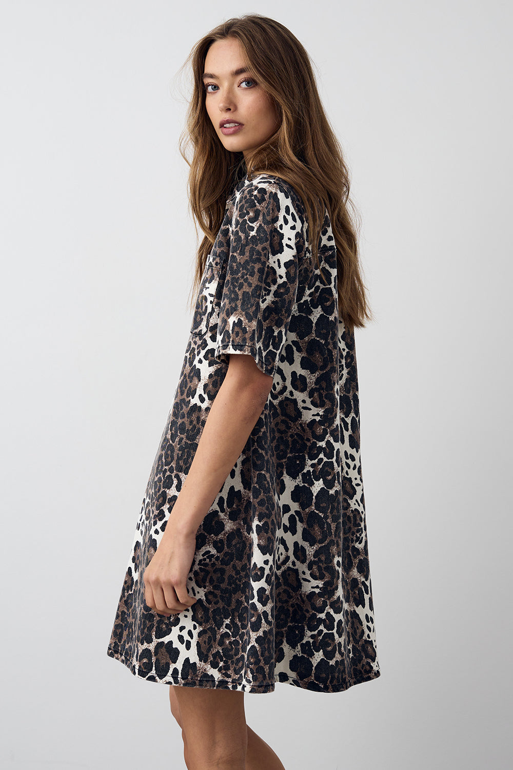 Jozie Dress Taleah Print